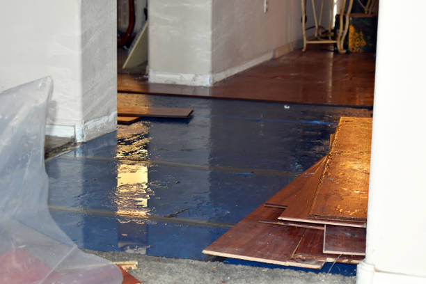 Professional Flood Damage Repair technician working in Paramus, NJ